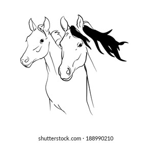 arabian horses vector