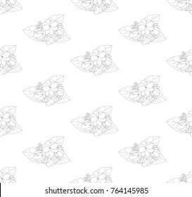 Arabian Jasmine Seamless on White Background. Vector Illustration.