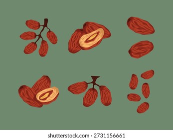Árabe Kurma Ramadán Snack Eid Ornamentos orgánicos del Islam Islam Islam Musulmán Exótico Palm Dessert Elemento 