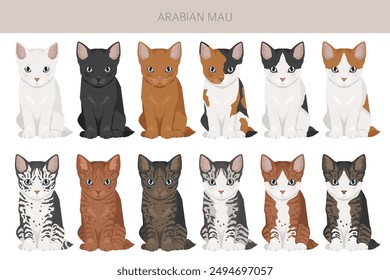 Arabian Mau cat clipart. All coat colors set.  All cat breeds characteristics infographic. Vector illustration