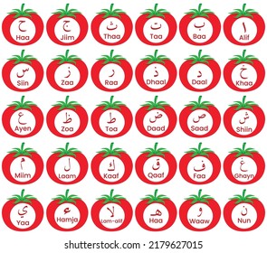 Arabisches Alphabet, das auf Tomaten für Kinder gefärbt ist.