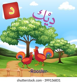 Arabic Alphabet cute Animal Vector colorful of Rooster "Dal" word.