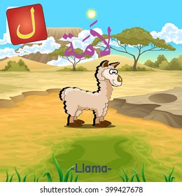 Arabic Alphabet cute Animal Vector colorful of Llama "Lam" word.