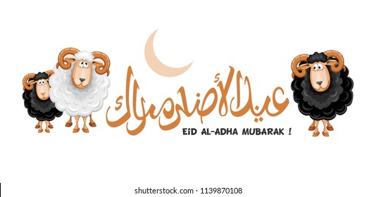 Arabic calligraphy text of Eid Al Adha Mubarak for the celebration of Muslim community festival. Greeting card with sacrificial sheeps. Vector illustration.