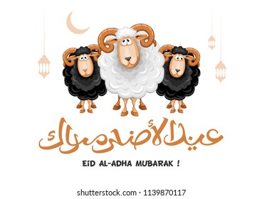 Arabic calligraphy text of Eid Al Adha Mubarak for the celebration of Muslim community festival. Greeting card with sacrificial sheeps. Vector illustration.