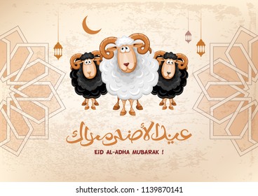 Arabic calligraphy text of Eid Al Adha Mubarak for the celebration of Muslim community festival. Greeting card with sacrificial sheeps. Vector illustration.