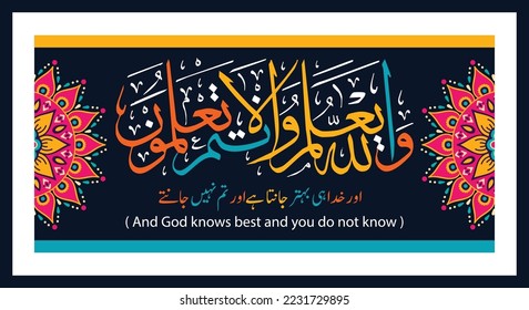 Arabic calligraphy " wallahu yalamu wa antum la talamun " [surah al-baqarah 2:216] translation:( And God knows best and you do not know ). vector design illustrations. Islamic mural wall art decor.