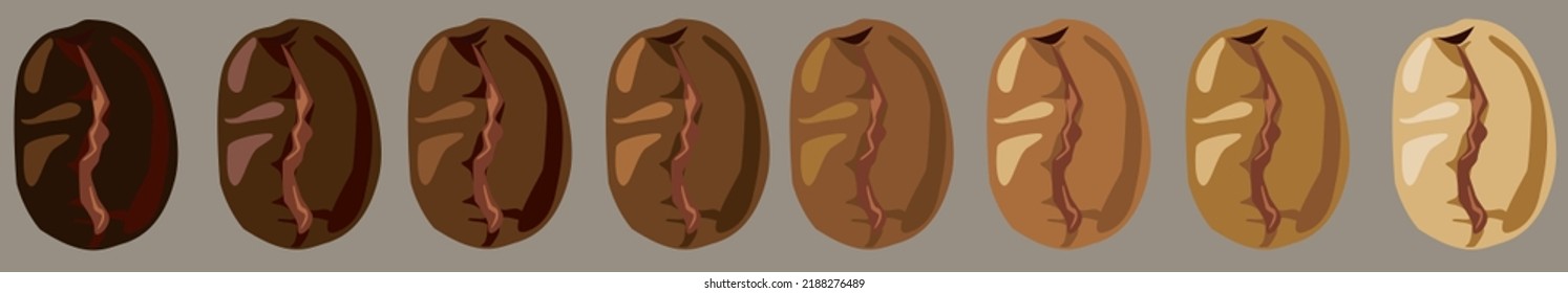 Arabic coffee beans all types of roasting.