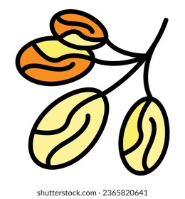 vector de contorno de icono de fruta de fecha árabe. Comida de palma. Dulce color seco plano