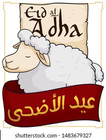 Arabic frame with serene sheep over greeting scroll and red ribbon around it to celebrate Eid al-Adha (written in Arabic).