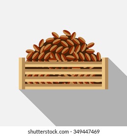 Arabic Fruits. Date Palm Fruits vector illustration.