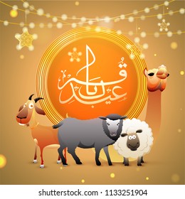 Arabic Islamic calligraphy EId Al Adha text with blurred lighting effect and sheep on glowing yellow background decorated with hanging ornamental stars for festival celebration concept.