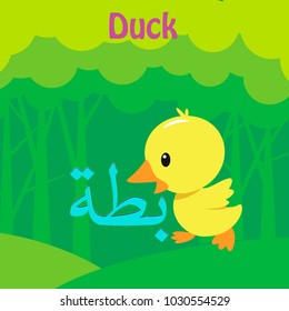 Arabic Language Word Alphabet Animal Vector Batta, Meaning the Duck