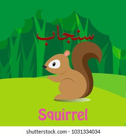Arabic Language Word Alphabet Animal Vector Sanujab, Meaning the Squirrel