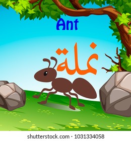 Arabic Language Word Alphabet Animal Vector Naml, Meaning the Ant