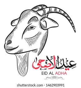 Arabic typographic or Calligraphic text of Eid Al Adha with goat face sketch for the celebration of Eid festival.