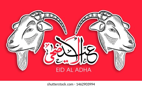 Arabic typographic or Calligraphic text of Eid Al Adha with goat faces sketch for the celebration of Eid festival.