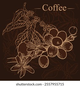 Arabica coffee in gold ink illustration on paper for packaging label, poster, brochure, art print, promotion, cover, wall paper. victorian style drawing.