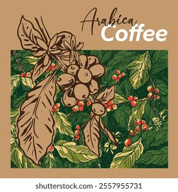 Arabica coffee in gold ink illustration on paper for packaging label, poster, brochure, art print, promotion, cover, wall paper. victorian style drawing.