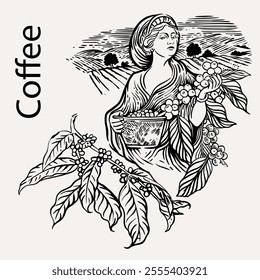 arabica coffee in ink drawing on paper for graphic design, packaging, label, poster, promotional art, art print, display, wallpaper on coffee shop, restaurant, office. coffee sketch with black ink