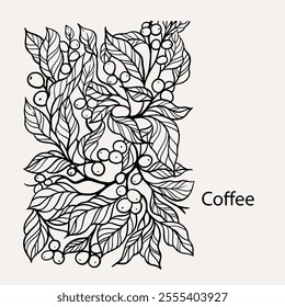 arabica coffee in ink drawing on paper for graphic design, packaging, label, poster, promotional art, art print, display, wallpaper on coffee shop, restaurant, office. coffee sketch with black ink