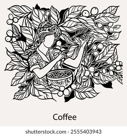 arabica coffee in ink drawing on paper for graphic design, packaging, label, poster, promotional art, art print, display, wallpaper on coffee shop, restaurant, office. coffee sketch with black ink