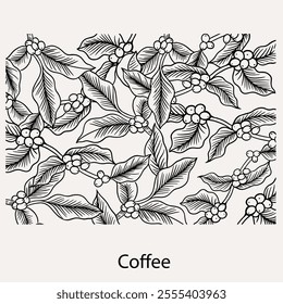 arabica coffee in ink drawing on paper for graphic design, packaging, label, poster, promotional art, art print, display, wallpaper on coffee shop, restaurant, office. coffee sketch with black ink