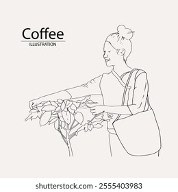 arabica coffee in ink drawing on paper for graphic design, packaging, label, poster, promotional art, art print, display, wallpaper on coffee shop, restaurant, office. coffee sketch with black ink