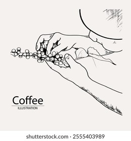 arabica coffee in ink drawing on paper for graphic design, packaging, label, poster, promotional art, art print, display, wallpaper on coffee shop, restaurant, office. coffee sketch with black ink