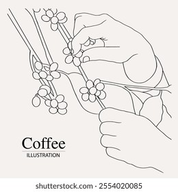 Arabica coffee in ink illustration style with graphic design for poster, label, packaging, sticker, art print, brochure, banner. woodcut art into coffee theme with Balinese culture, elephant, boat, le