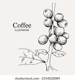 Arabica coffee in ink illustration style with graphic design for poster, label, packaging, sticker, art print, brochure, banner. woodcut art into coffee theme with Balinese culture, elephant, boat, le