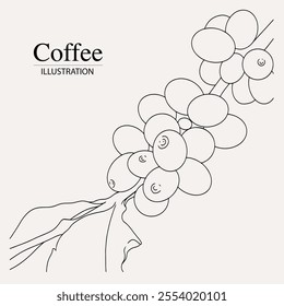 Arabica coffee in ink illustration style with graphic design for poster, label, packaging, sticker, art print, brochure, banner. woodcut art into coffee theme with Balinese culture, elephant, boat, le