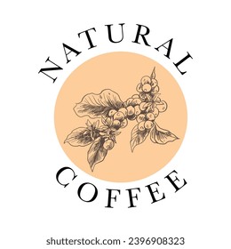 arabica robusta logo design of coffee sketch ink vector for label template, t-shirt, poster, brochure, banner, promotion