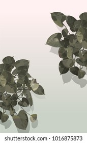 Araceae leaf. isolate on pastel pink background. minimal vector art flat style. nostalgic\ emotion \ aesthetic feeling