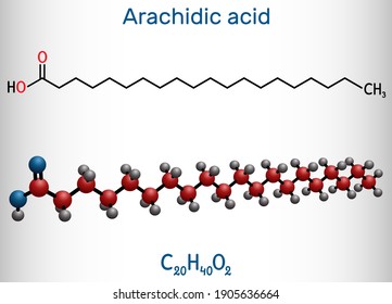 Arachidic acid, eicosanoic, icosanoic acid molecule. It is saturated long-chain fatty acid. Structural chemical formula and molecule model. Vector illustration