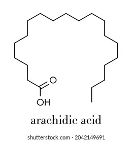 Molécula ácida aráquica (eicosánica). Ácido graso saturado. Fórmula esquelética.