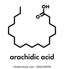 Arachidic (eicosanoic) acid molecule. Saturated fatty acid. Skeletal formula.