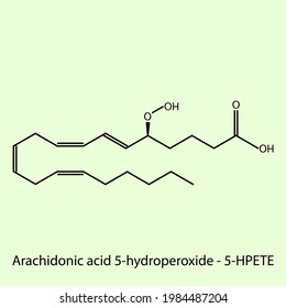 Arachidonic acid 5-hydroperoxide - Leukotriene biomolecule molecular formula. Skeletal molecule structure vector eps10.