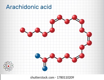 Arachidonic acid, AA, ARA molecule. It is unsaturated omega-6 fatty acid, is precursor in biosynthesis of prostaglandins, thromboxanes, leukotrienes. Sheet of paper in a cage. Vector illustration 