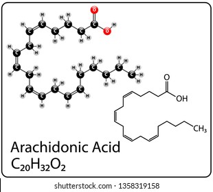 Arachidonic Acid Molecule Structure