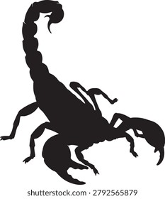 Arachnid predator, dark shape, detailed legs, stinger, isolated on grid.