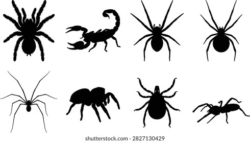 Arachnids and spiders silhouettes vector set