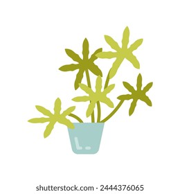 Aralia icon in vector. Logotype