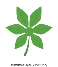 icono de la hoja de aralia sobre fondo blanco