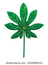 Aralia leaf vector cartoon illustration