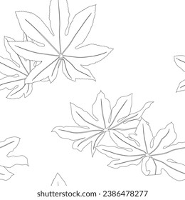 Aralia leaves pattern line art for decorate your designs with tropical illustration isolated on white background