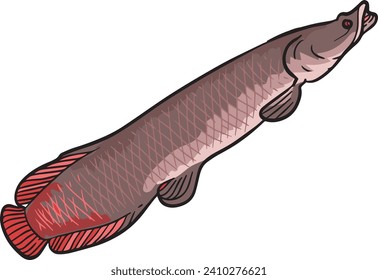 Arapaima Giant Fish Wild Animal Vector Illustration