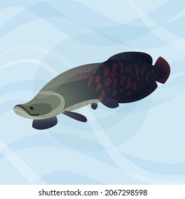 Arapaima gigas cartoon illustration design with water flow background