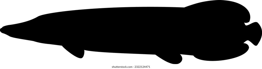 Arapaima silhouette. Black and white silhouette