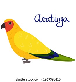 Aratinga parrot or sun parakeet, also known as sun conure, in cartoon style on white background. Vector hand drawn illustration. Aratinga solstitialis.